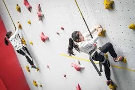 2016年：白袜队吉祥物事件引发讨论，联盟强调球场安保。